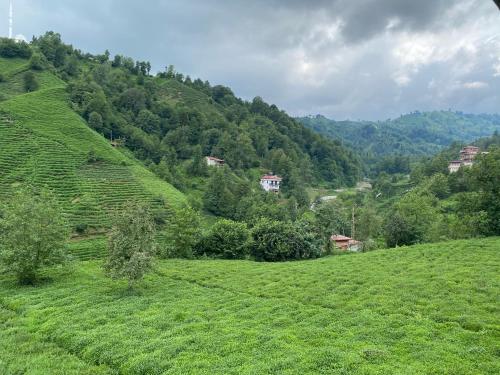 Landskap semula jadi dekat dengan rumah tamu ini