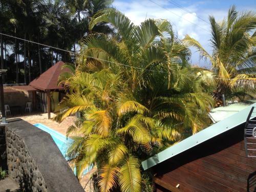 Les Bungalows les Vanilliers, Sud Sauvage avec piscineの敷地内または近くにあるプール