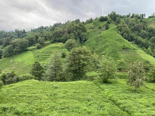 Landskap semula jadi dekat dengan rumah tamu ini