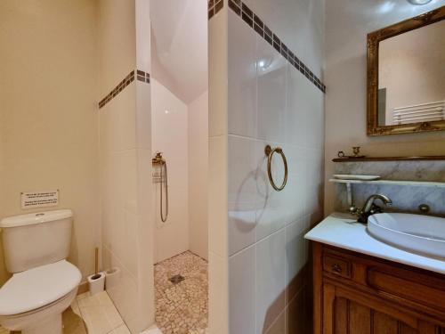 a bathroom with a toilet and a sink and a mirror at La maison des Vendangeurs 6 in Olonzac
