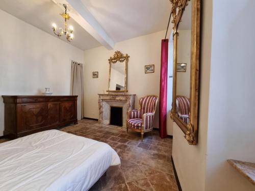 a bedroom with a bed and a mirror and a fireplace at La maison des Vendangeurs 6 in Olonzac