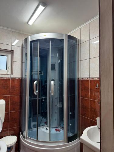 a shower in a bathroom with a toilet and a sink at Vila Gabi in Buşteni