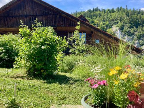 a garden with flowers in front of a house at L'arbre à chapeaux in La GrandʼCombe-Châteleu