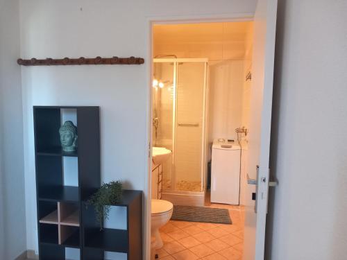 un bagno con un water e un lavandino di agreable appartement proche plages a Bormes-les-Mimosas