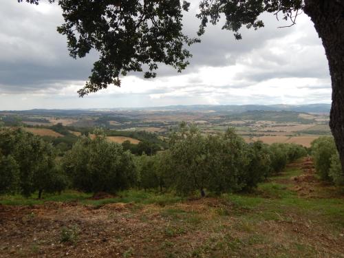 a view from the top of a hill with trees at Piane Del Bagno in Saturnia