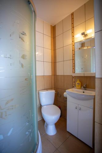 a bathroom with a toilet and a sink at Promyk Dębiny in Debina