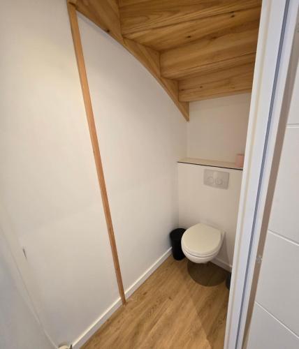 a bathroom with a toilet and a wooden ceiling at Gites des ammonites 2 in Montalieu-Vercieu