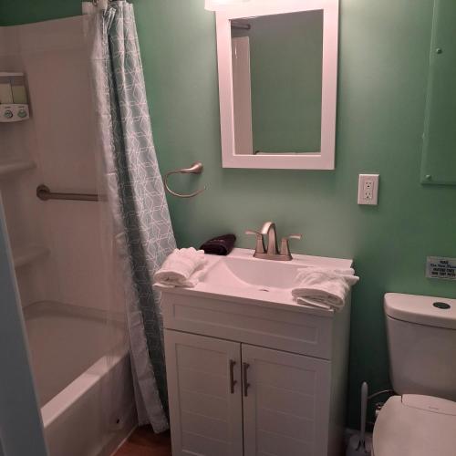 a bathroom with a sink and a toilet and a mirror at Little Oyster Oasis in White Stone