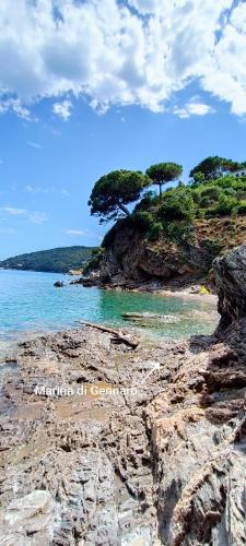 a beach with trees on a rocky shore at La Maisonnette in Rio Marina
