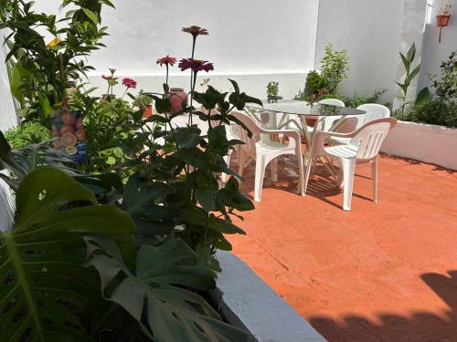 Vườn quanh Jardim