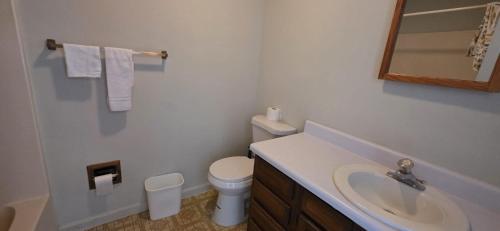 a bathroom with a sink and a toilet and a mirror at white columns motel in Pine Mountain