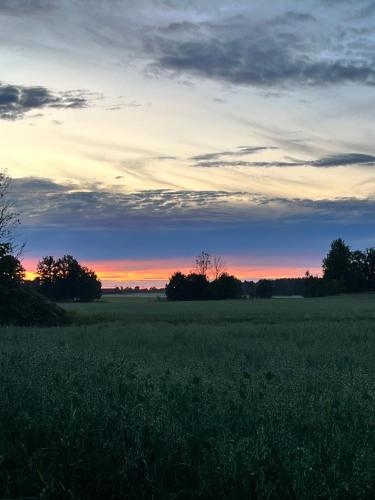 a field of grass with a sunset in the background at Brygghuset in Linköping