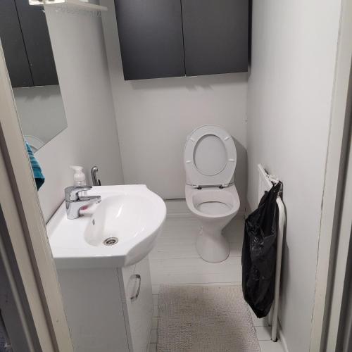 a small bathroom with a sink and a toilet at A great choice! Wooden sauna, pool table, 3BR, 2 toilet, 2 bathrooms in Oulu