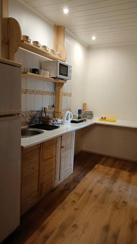 a kitchen with a sink and a microwave at Pokoje gościnne u Krupy in Murzasichle