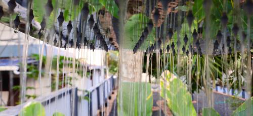 a bunch of birds sitting on a fence at Alappuzha Family Vacation Villa - LAYANILA in Alleppey