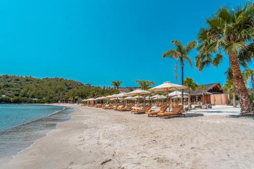 a beach with chairs and umbrellas and palm trees at Villa Kaplankaya in Milas