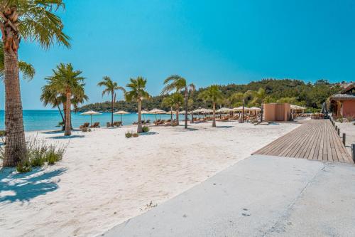a sandy beach with palm trees and the ocean at Villa Kaplankaya in Milas