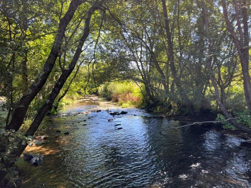 a river with trees and rocks in the water at A Casiña do Castiñeiro, Melide in Melide