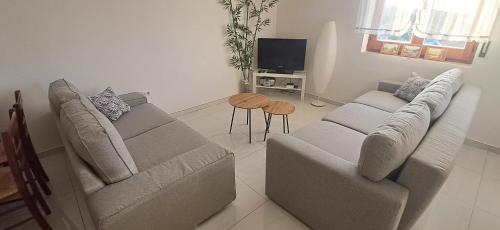 a living room with two couches and a television at Apartament Gabbiano Bianco in Torretta