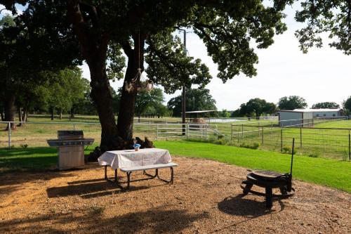 Κήπος έξω από το Dog-Friendly Texas Ranch with Patio, Horses On-Site