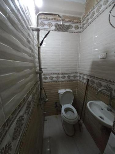 a small bathroom with a toilet and a sink at Giza Pyramids Hotel in Cairo