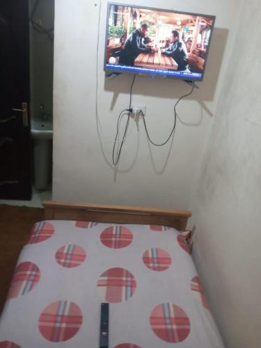 a television hanging on a wall with a bed at Giza Pyramids Hotel in Cairo