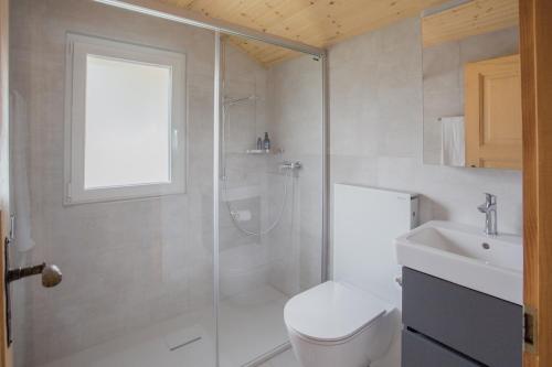 Un baño con ducha, inodoro y lavabo. en Chalet l'Orchidée, en Champéry