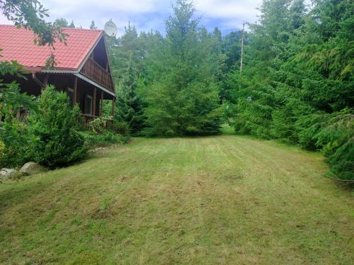an empty yard in front of a house at Sarni Zakątek in Rybno