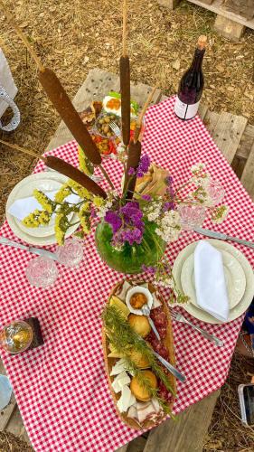 a picnic table with plates of food and a bottle of wine at Azienda Agricola Veldidonna in Aggius