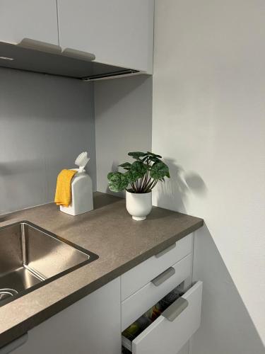 a kitchen counter with a sink and a potted plant at Gemütliches Appartment im Souterrain in Olching