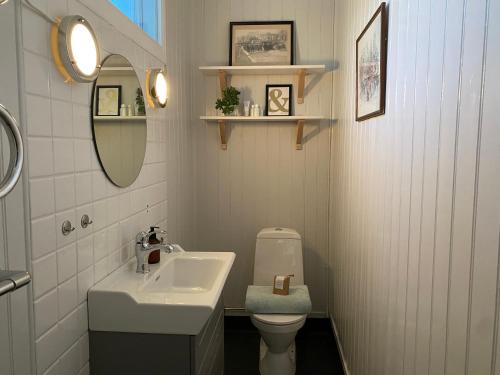 a bathroom with a sink and a toilet and a mirror at The Green House in Norrtälje