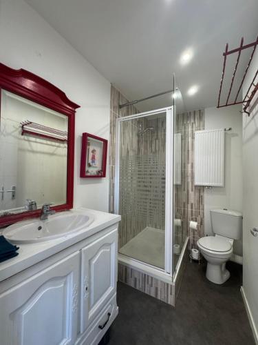 a bathroom with a shower and a sink and a toilet at LA TERRASSE SELESTADIENNE in Sélestat