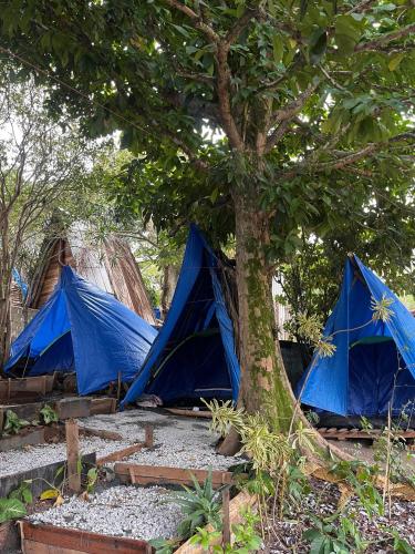 Jamboo Saqua Campingにある庭