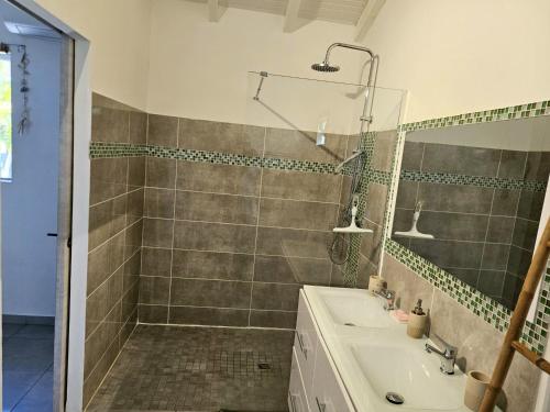 a bathroom with a shower and a sink at Kaza Lenah villa 2 chambres dont une en mezzanine, piscine et cuve tampon, Saint-François in Saint-François