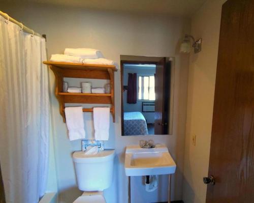 a bathroom with a sink and a toilet and a mirror at Packwood Inn in Packwood