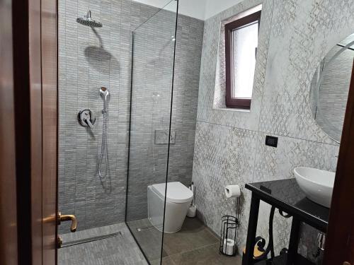a bathroom with a shower with a toilet and a sink at Ale&Sere Housing in Jiblea Nouă