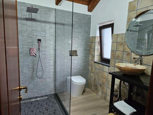 a bathroom with a shower with a toilet and a sink at Ale&Sere Housing in Jiblea Nouă