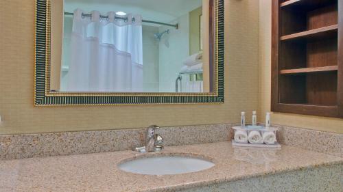 a bathroom counter with a sink and a mirror at Holiday Inn Express & Suites Huntsville by IHG in Huntsville