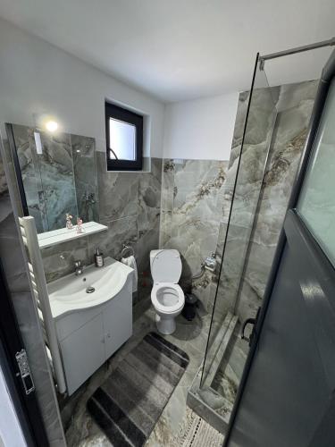 a bathroom with a toilet and a sink and a shower at CasaA&B in Dubova