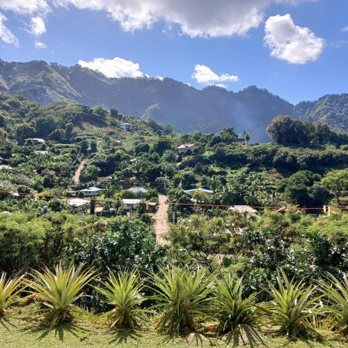 a view of a valley with mountains in the background at Hoakehu Lodge hoakua in Nuku Hiva