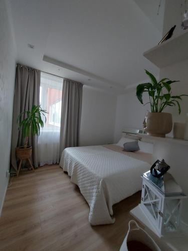 a white bedroom with a bed and a window at Apartment Ventspils iela 22 in Rēzekne