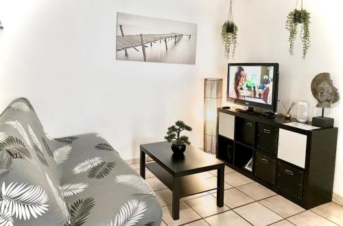 un salon avec un canapé et une télévision dans l'établissement Appartement Centre Ville, à Carcassonne