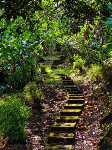 a stone path in the middle of a garden at Finca Luna Nueva Lodge in Fortuna
