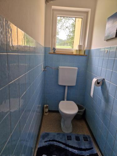 a blue tiled bathroom with a toilet and a window at Ferienwohnung im Dörfl in Mooslandl