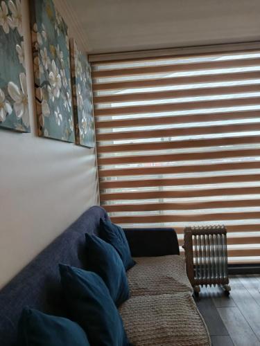 a living room with a couch and a window at HOM I Con parking incluido Depto 1D1B in Puerto Varas