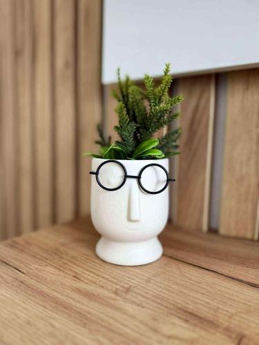 a plant in a vase with glasses on a table at Bella LUX in Modriča