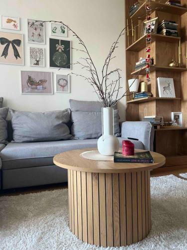 Гостиная зона в Apartman Monti - Bjelasnica