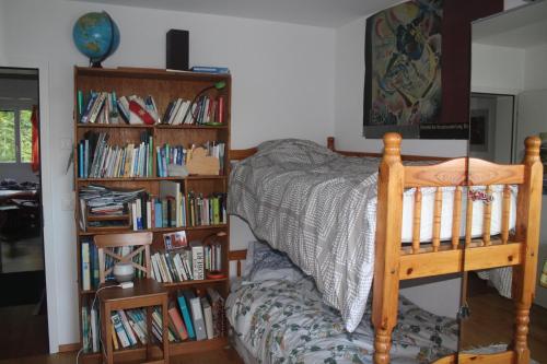 a bedroom with a bed and book shelves filled with books at Beautiful 14 m2 room in Wünnewil
