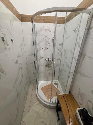 una ducha con puerta de cristal en un baño en Buko apartamenty, en Uniejów