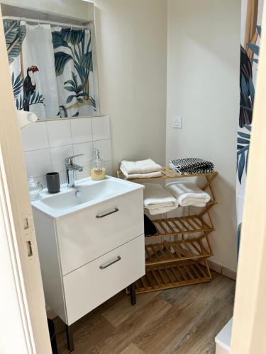 een badkamer met een wastafel en een spiegel bij Le Dany in Saint-Malo